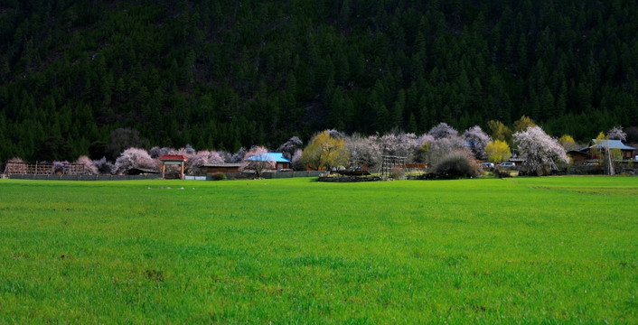 草原牧场