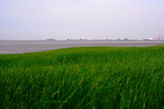 江岸风景