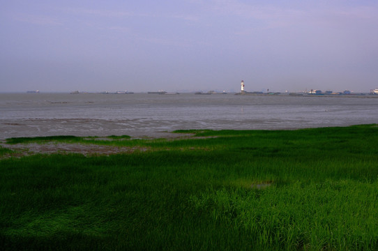 江岸风景