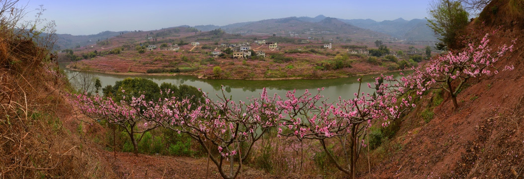 成都龙泉桃花山水全景图