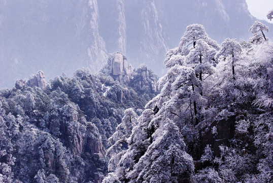 雪后黄山