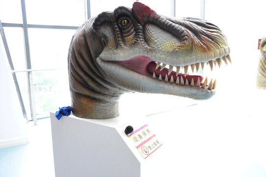 恐龙头部模型