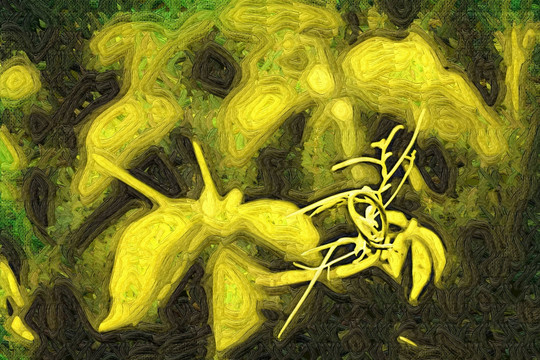 抽象畫