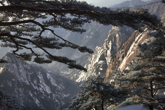 黄山冬景 黄山风光