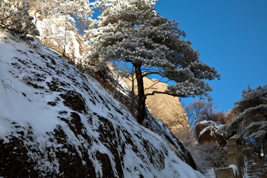 黄山冬景 黄山风光