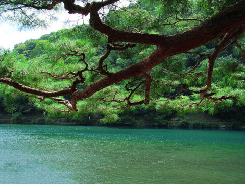 山水风景