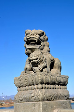 盧溝橋的石獅子