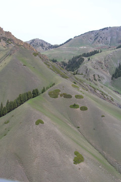 爱心山坡