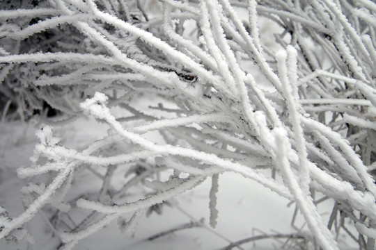 雪景