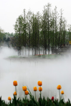 北京鲜花港