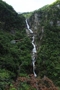 大明山溪流