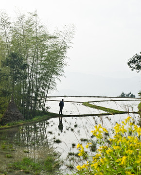 田园风光