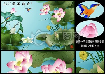 荷花 和諧美滿