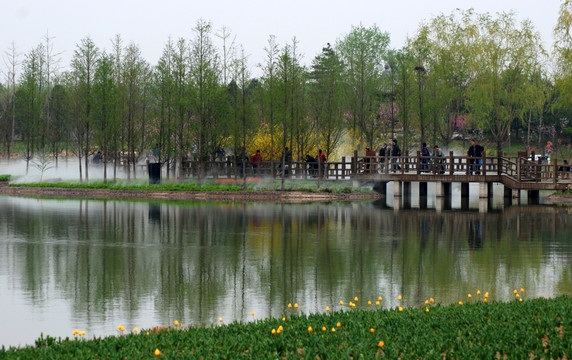 北京鲜花港