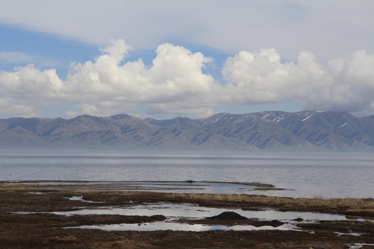 湖边湿地