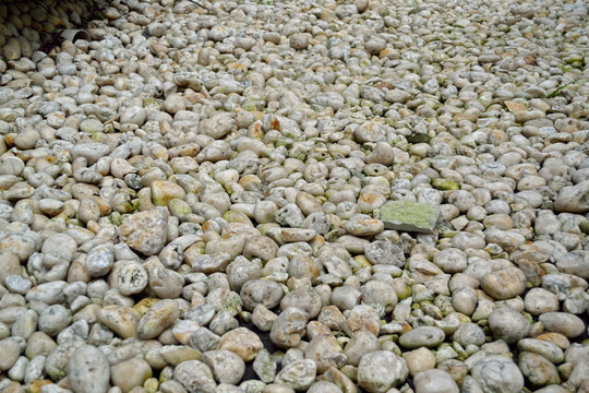 石头 鹅卵石 白石 石路
