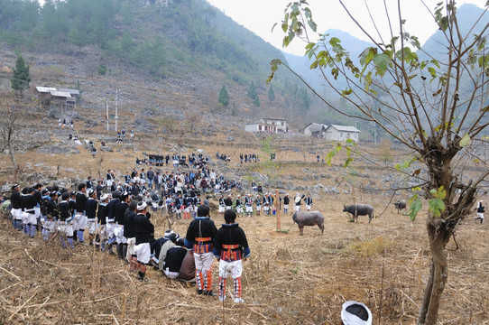 瑶族葬礼祭牛仪式
