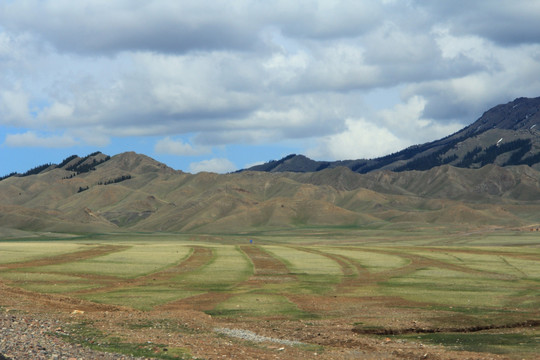 美丽的山坡草场