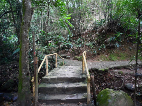 七星岩 仙掌岩原始森林