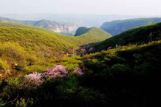 博爱县靳家岭风景区