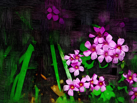 裝飾畫