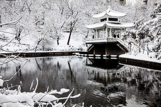 包河冬景 合肥风光