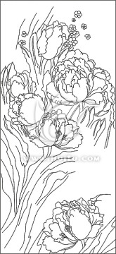 線描郁金香