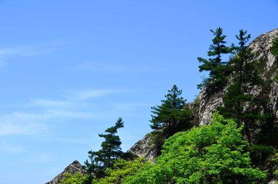 秦嶺風光