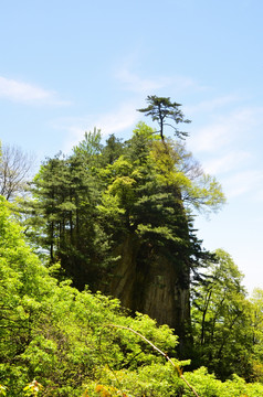 秦嶺風光