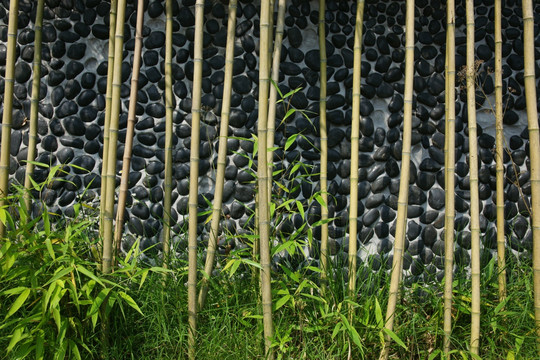 竹子石子背景图片