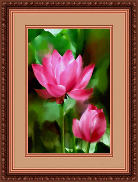 花卉 荷花 無(wú)框畫(huà)（未分層）