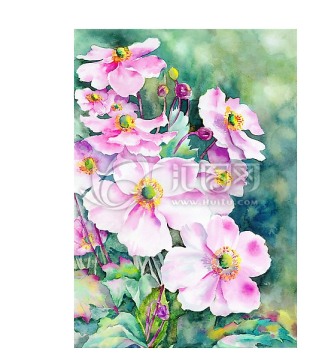 高清手繪花卉（主體分層）