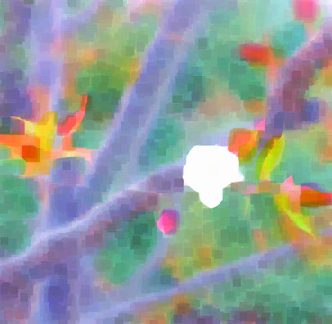 抽象畫 鮮花