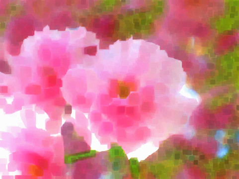 鮮花 抽象畫