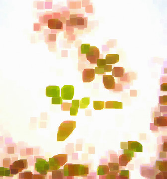 抽象畫 鮮花