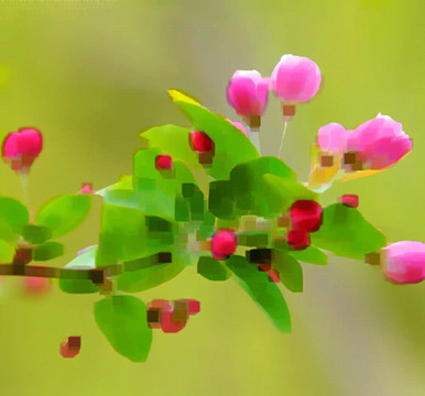 鮮花 抽象畫