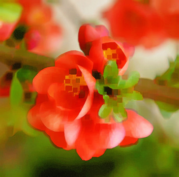 鮮花 抽象畫