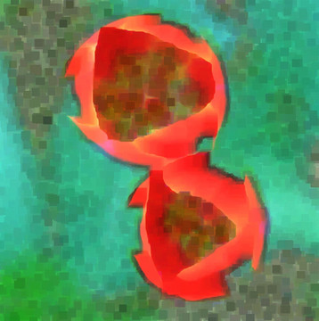 鮮花 抽象畫