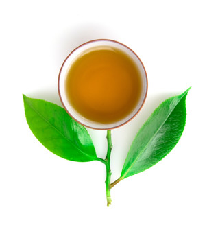 茶叶与茶杯