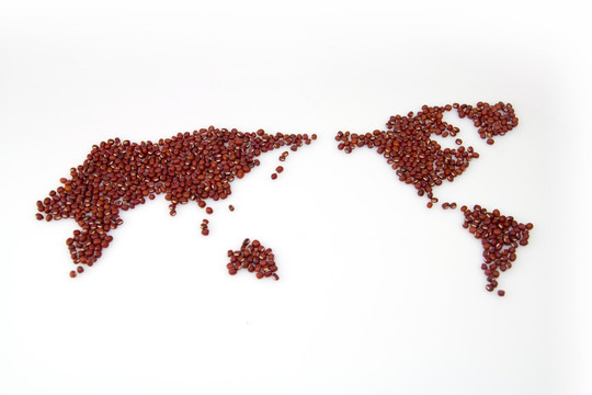 红豆组成的世界地形图