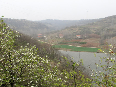 柳暗花明又一村