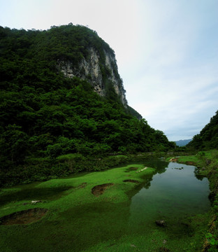 荔波黄杨沟