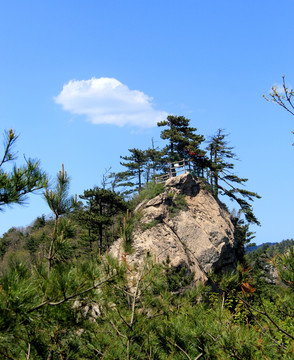 界岭风光