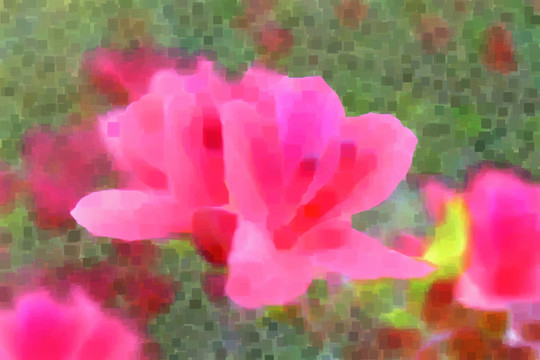 鮮花抽象畫