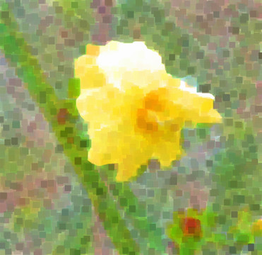 鮮花抽象畫
