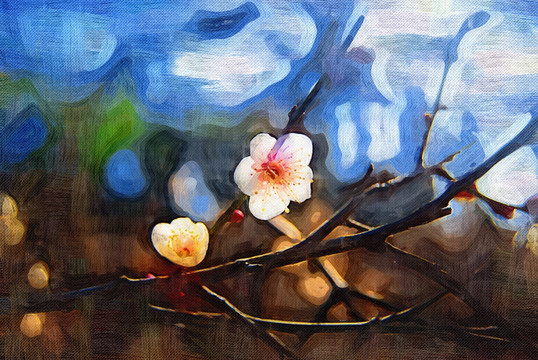 梅花