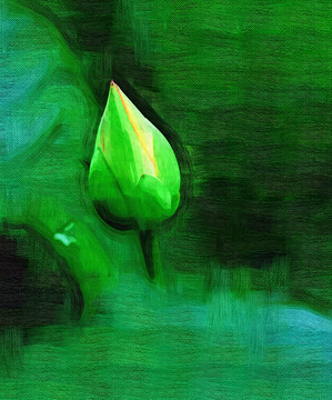 荷花