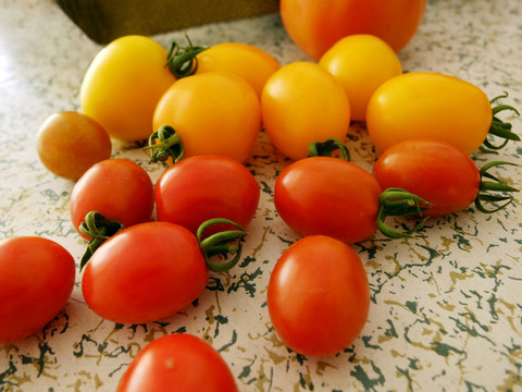 农家乐 小番茄 西红柿