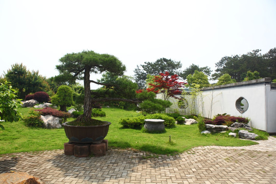 鲍家花园 花园 徽州建筑 徽州