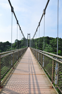 吊橋